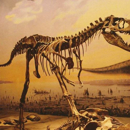 Dinosauruste fossiilide mudel