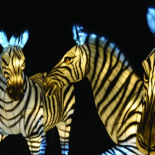 Hiina traditsiooniliste sündmuste latern Fefstival väljapanek