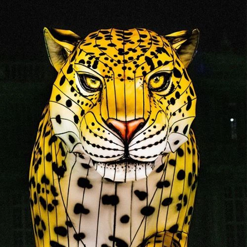 Suured klaaskiust loomakujud